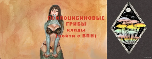 крисы Горнозаводск