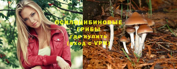 соль курить ск Горно-Алтайск