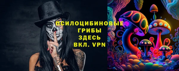 крисы Горнозаводск