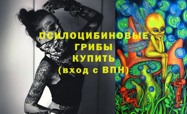 крисы Горнозаводск