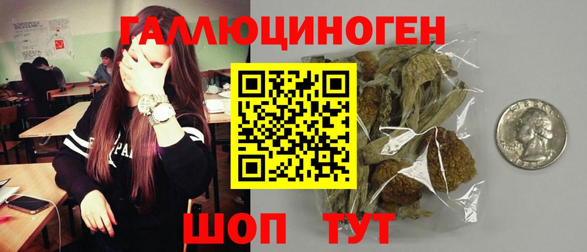 Псилоцибиновые грибы Cubensis  Вход с VPN  Галлюциногенные грибы GOLDEN TEACHER  Ростов-на-Дону 
