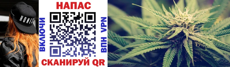Канабис OG Kush  ОМГ ОМГ как войти  Ростов-на-Дону 