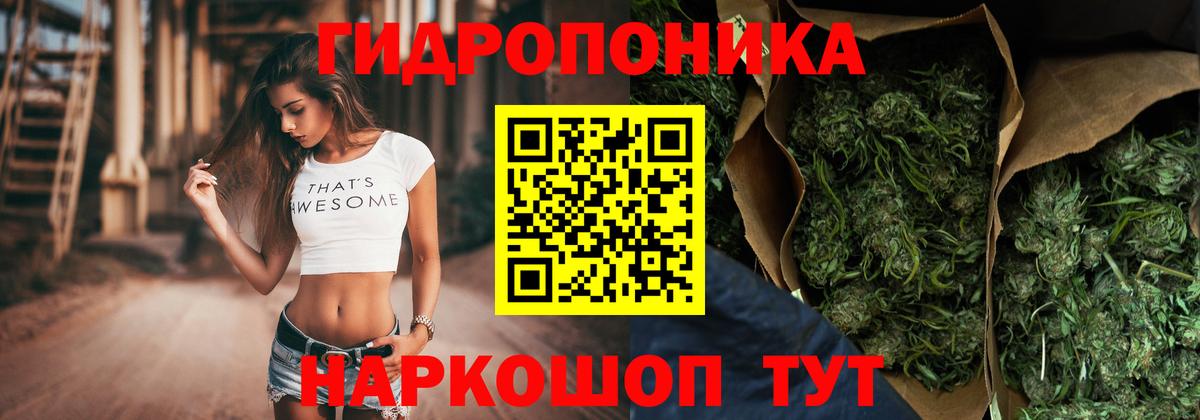 Каннабис SATIVA & INDICA  Вход с VPN  Канабис White Widow  Бошки Шишки ГИДРОПОН  Ростов-на-Дону  Канабис семена 